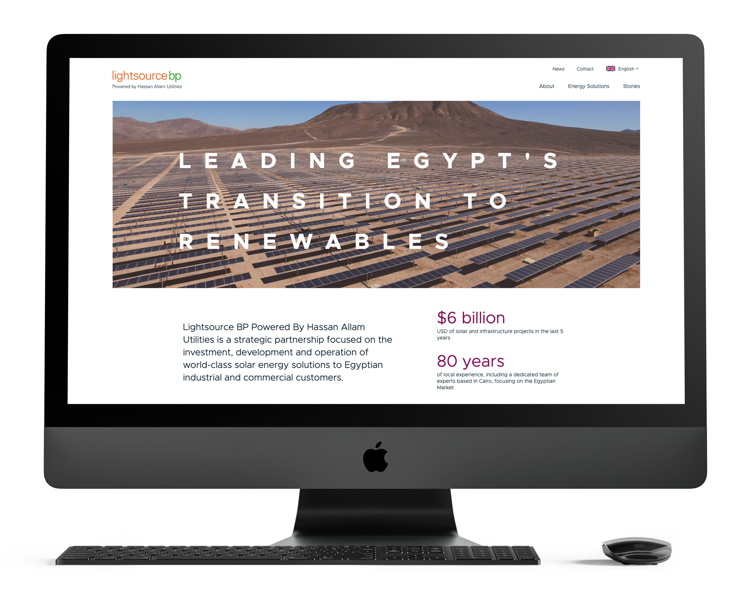 LSBP Egypt homepage